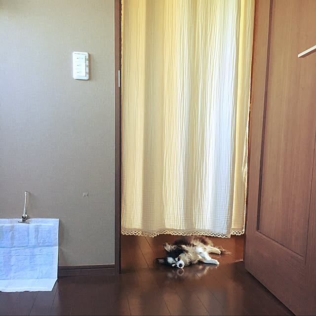 marineneさんの実例写真