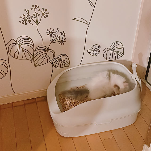 milkcocoaさんの部屋