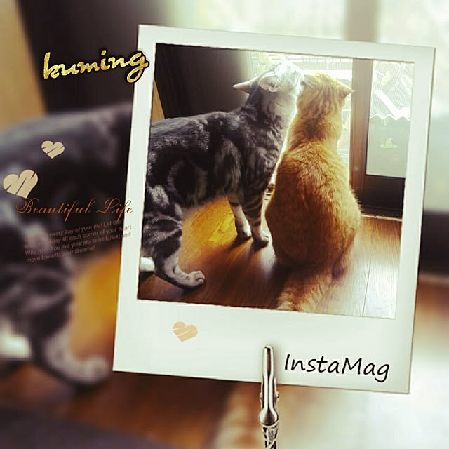 kumingさんの実例写真