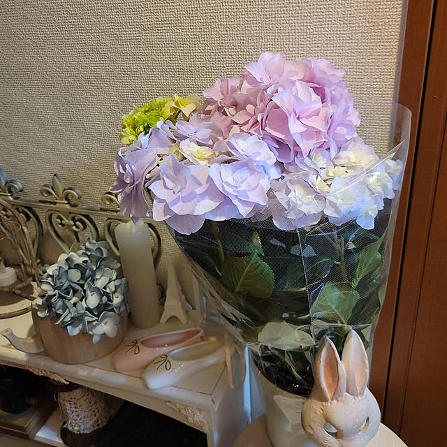 ANTENNAさんの実例写真