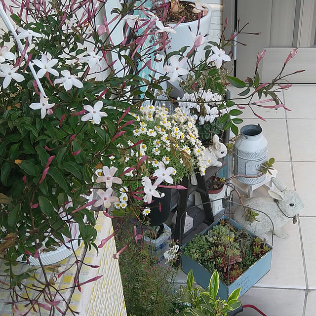 Gomaさんの実例写真