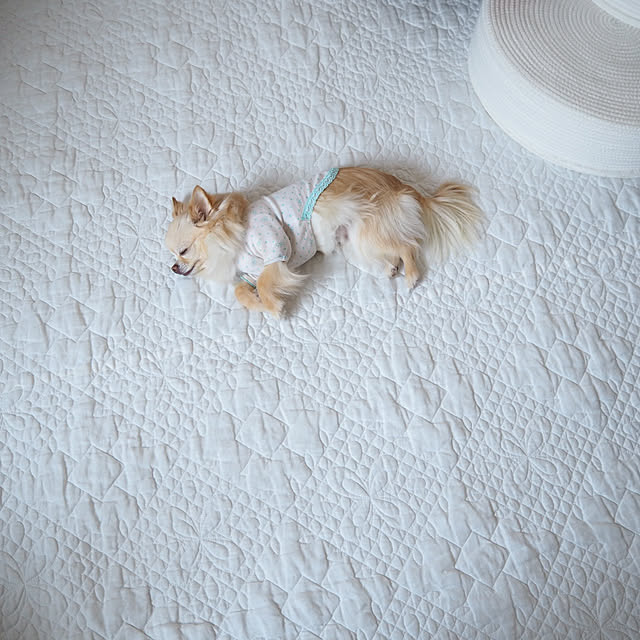 mariさんの実例写真