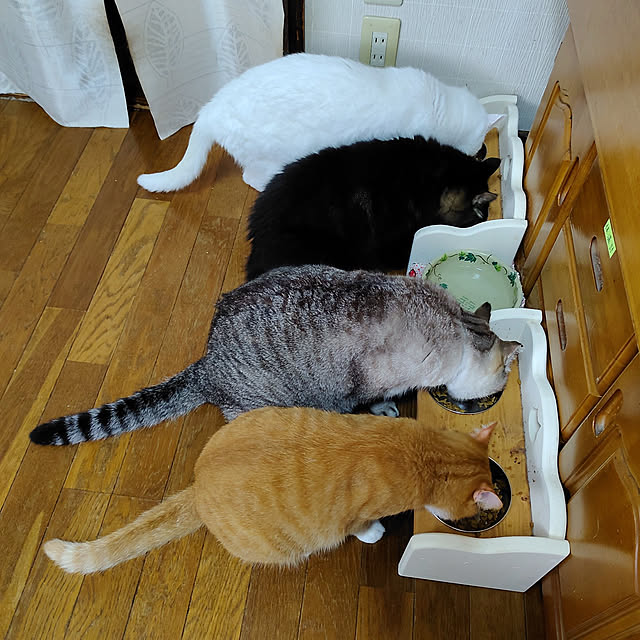 Hotaruさんの実例写真