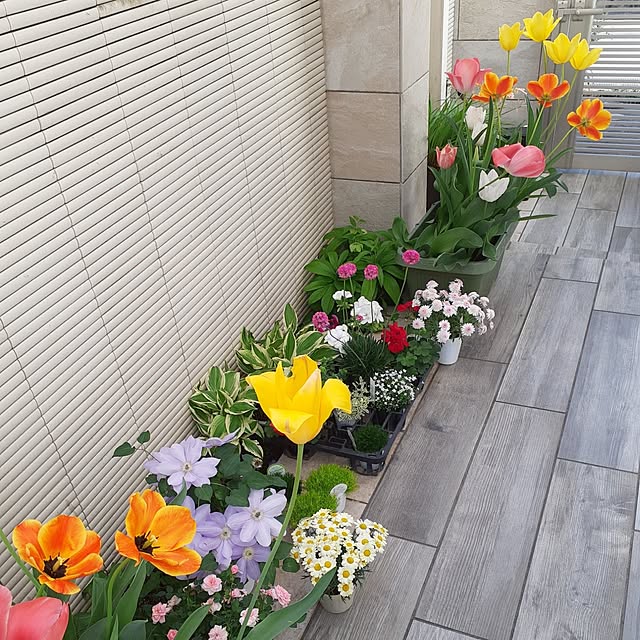 tananori44さんの実例写真