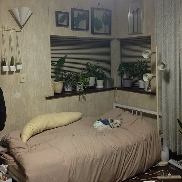 Chinatsuさんの実例写真