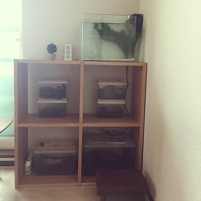 acoさんの実例写真