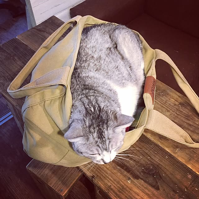 runtenさんの実例写真
