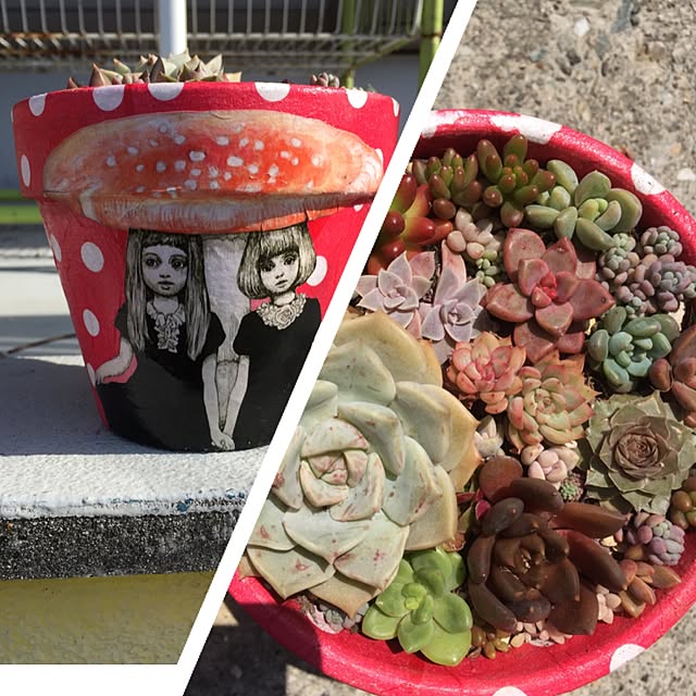 AMEIROさんの実例写真
