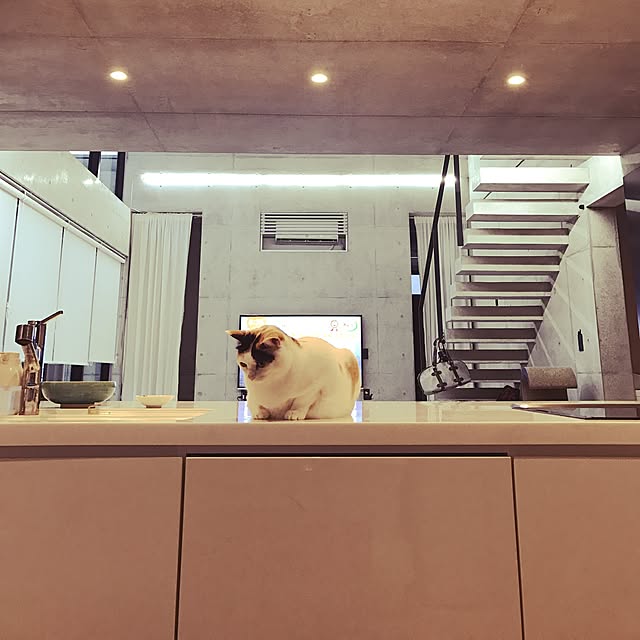 mashさんの実例写真
