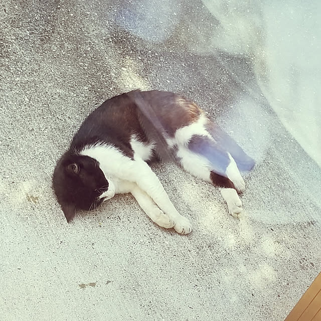 mimoさんの実例写真