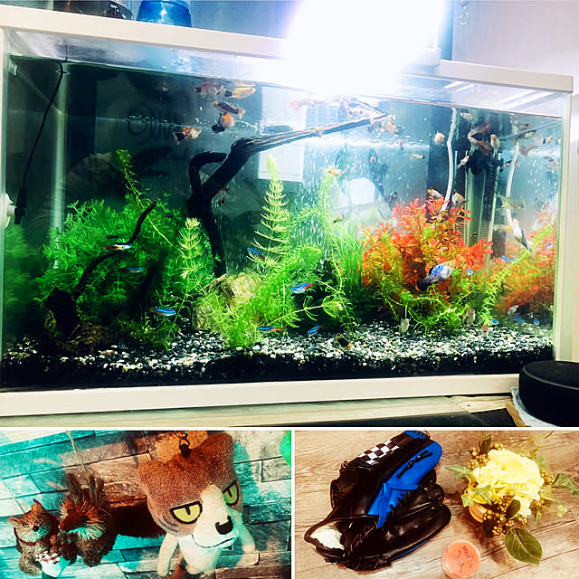 tututu0204さんの実例写真