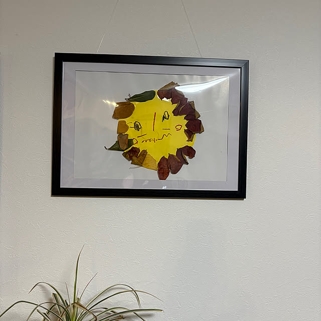 otanuさんの実例写真