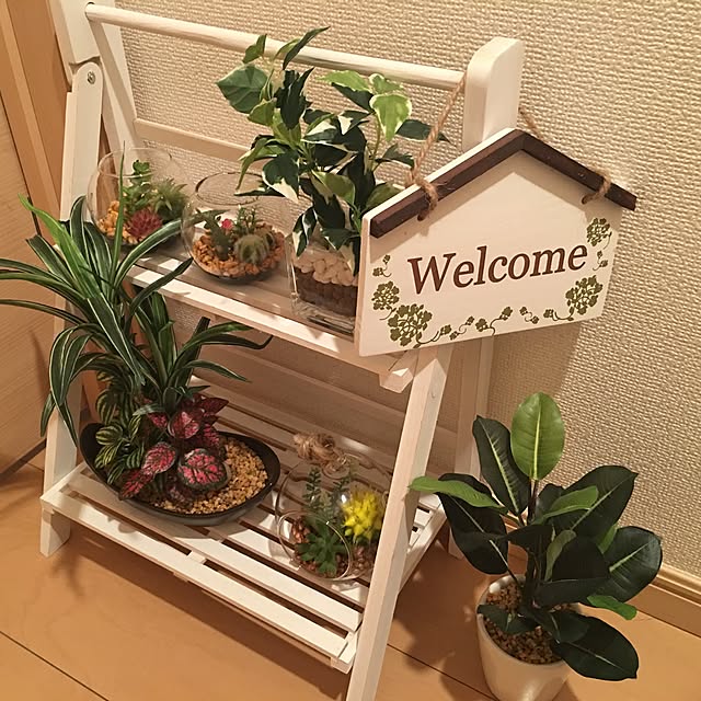 shinjiさんの実例写真