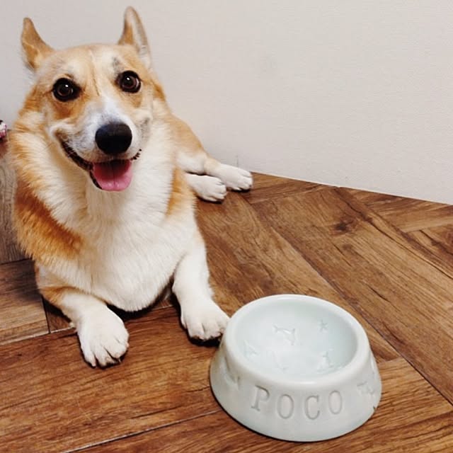 pocoさんの実例写真