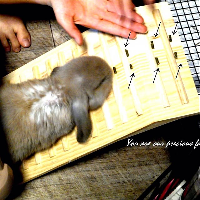 wa-ga-yaさんの実例写真