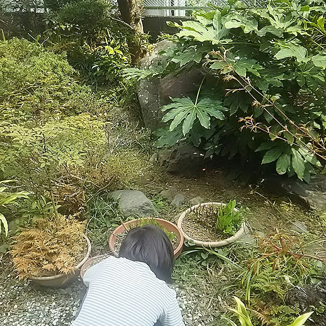 iwakyonさんの実例写真
