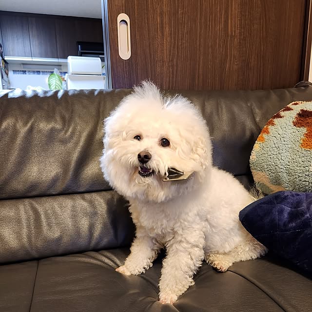 takoさんの実例写真