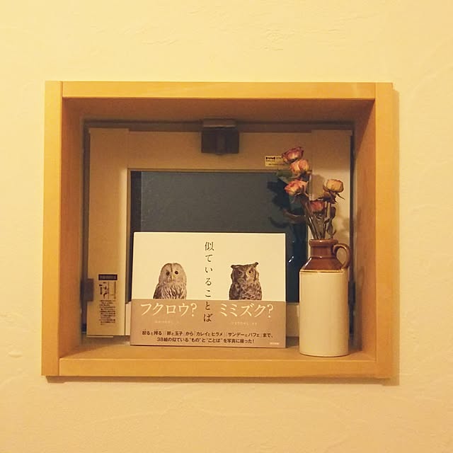 t.yumiさんの実例写真