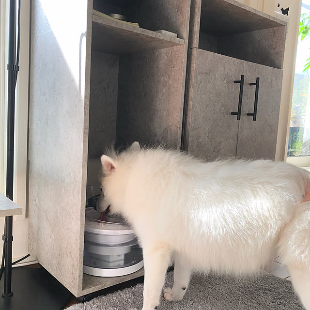 nuruiさんの部屋