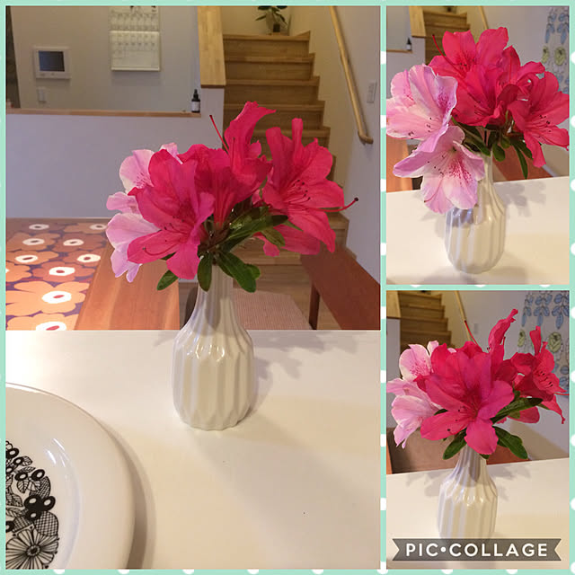 mimia1427さんの実例写真
