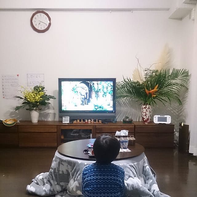azumakisiさんの実例写真