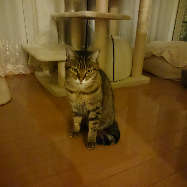 lilyさんの実例写真