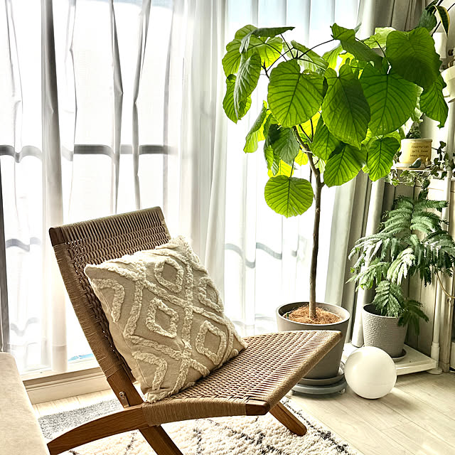 Kyokoさんの実例写真