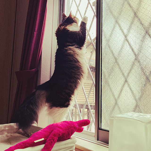 sakura_171220さんの実例写真