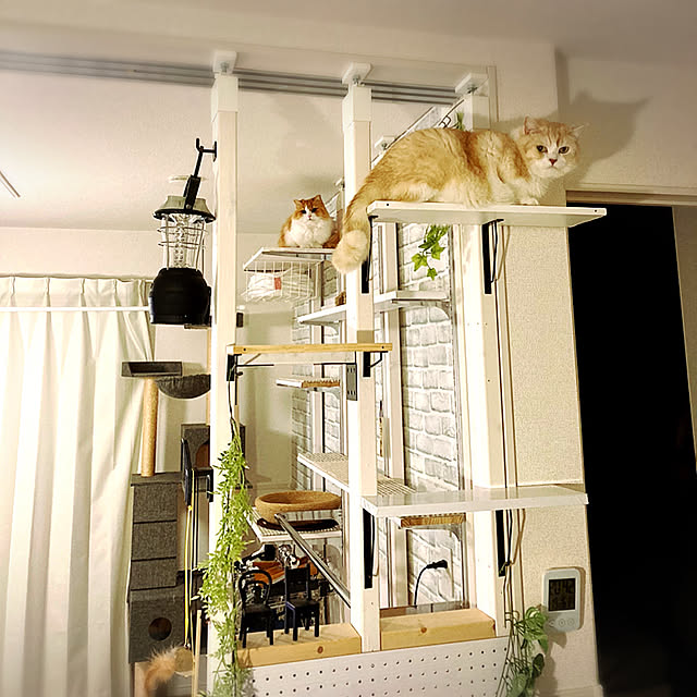 H.Tさんの実例写真