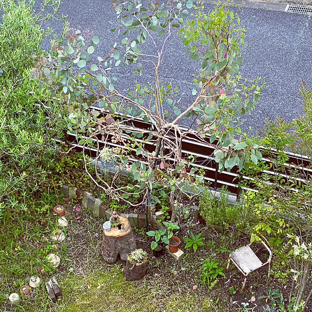 ayayayayaさんの部屋