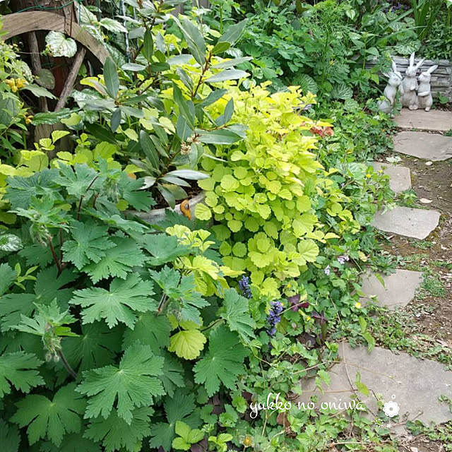 yukkoさんの実例写真