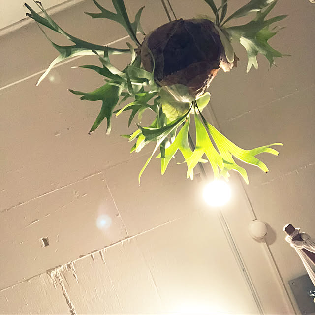 hideoutMさんの実例写真