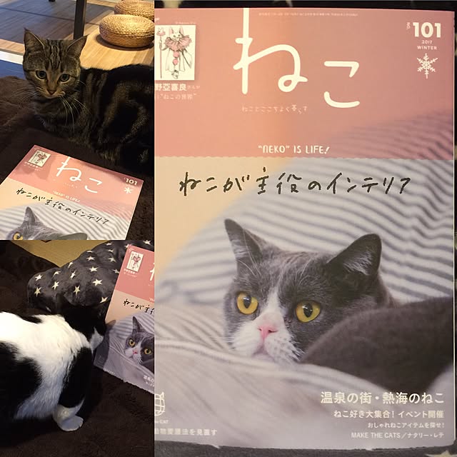 neuruさんの実例写真