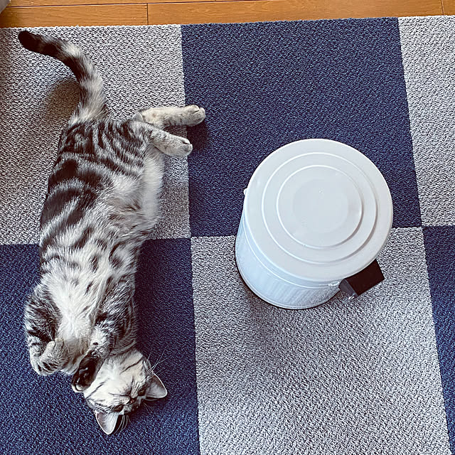 yuzuaoさんの実例写真