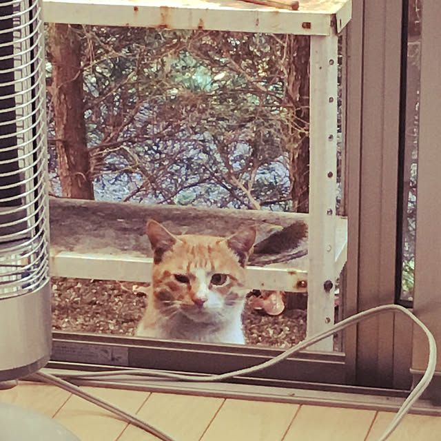 fanyさんの実例写真