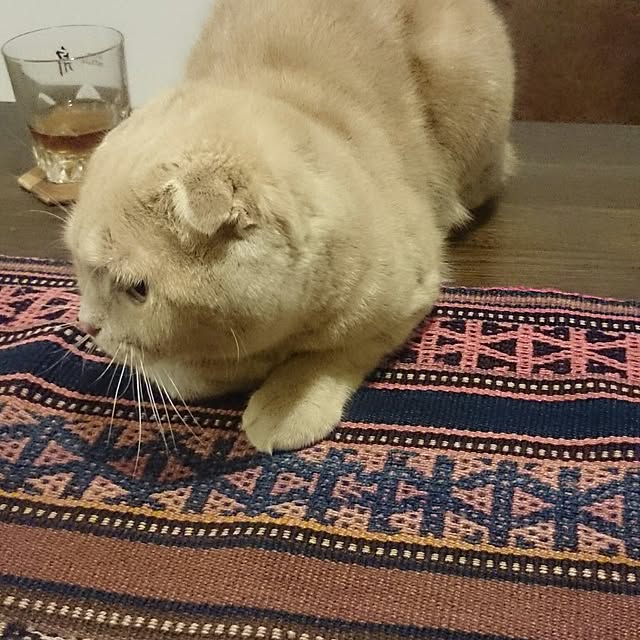 MarshmallowMuffinさんの実例写真