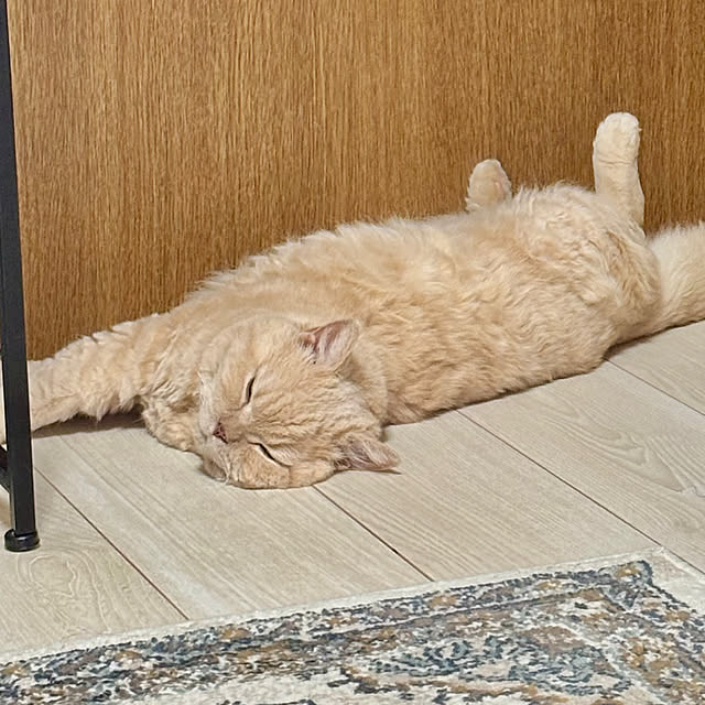 naokoさんの実例写真