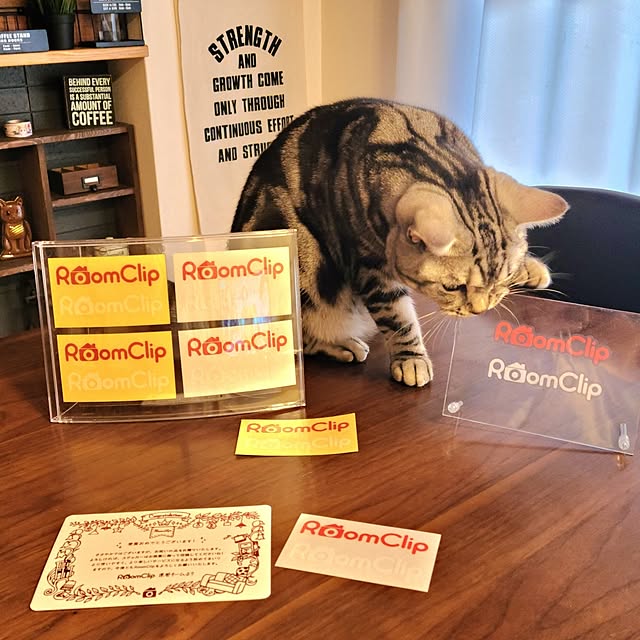lovepeaceさんの部屋
