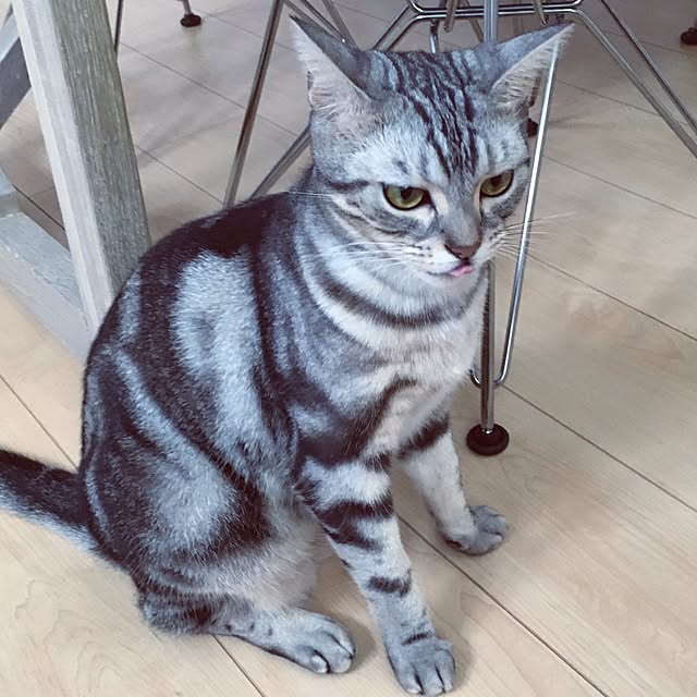 maripoさんの実例写真