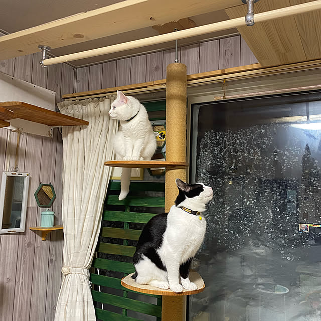 SHIHOさんの実例写真