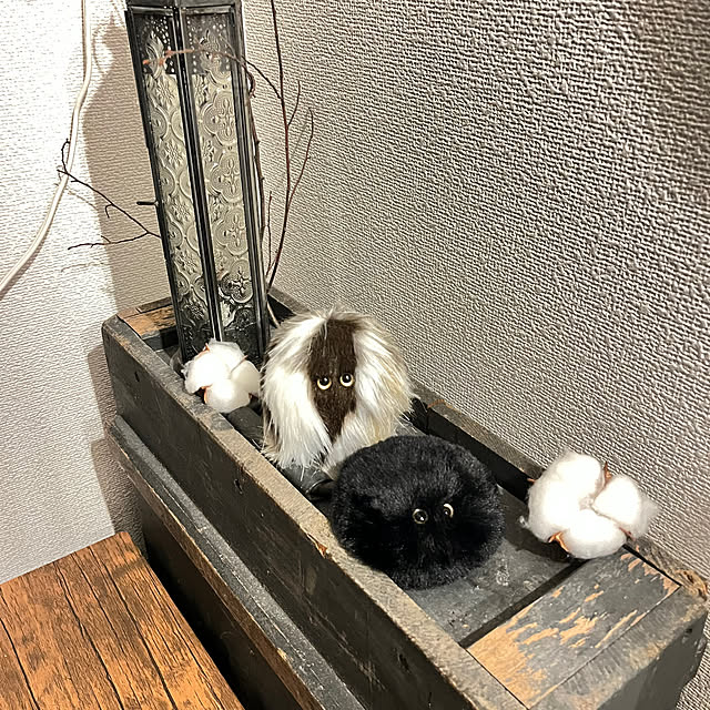 aoiさんの実例写真