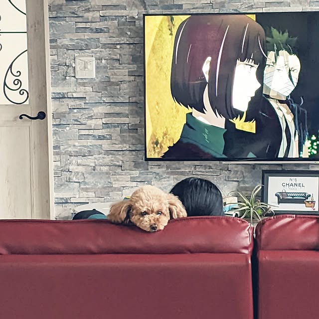 Meguさんの実例写真