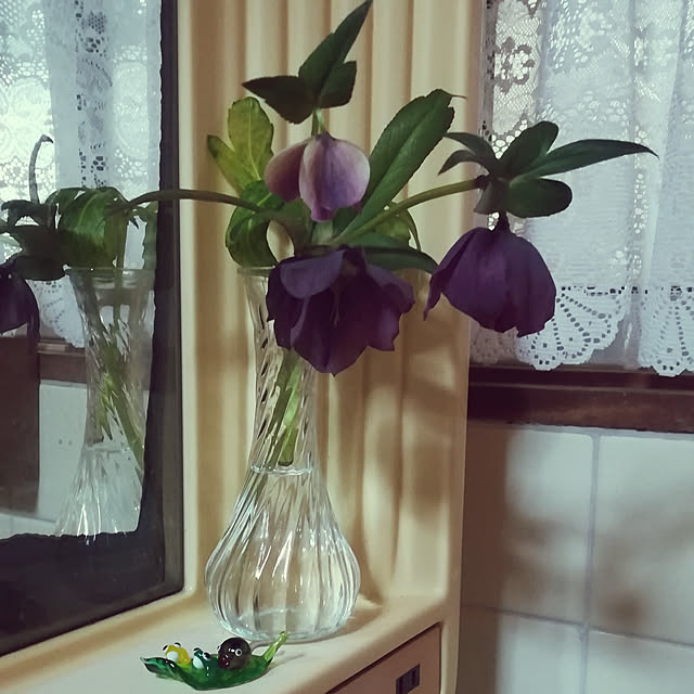 k30m24marchさんの実例写真