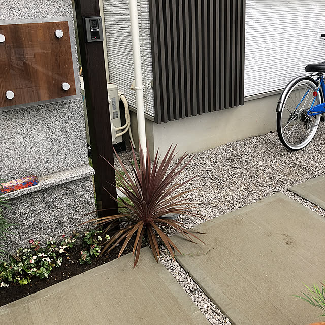 hatsugaさんの実例写真
