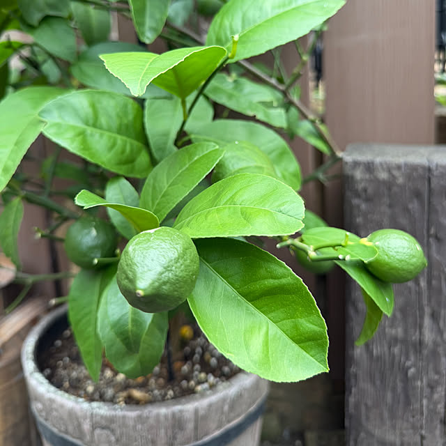 tabasaさんの部屋