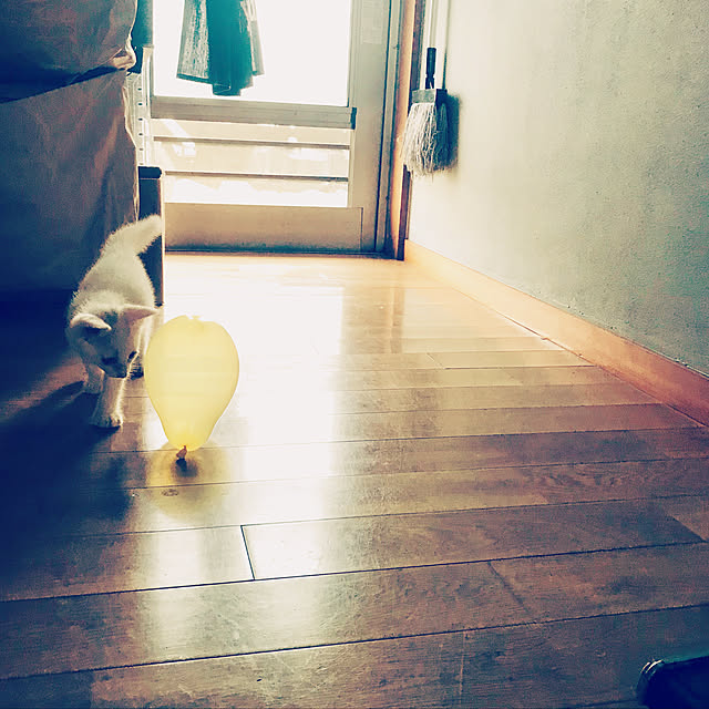 maroさんの実例写真