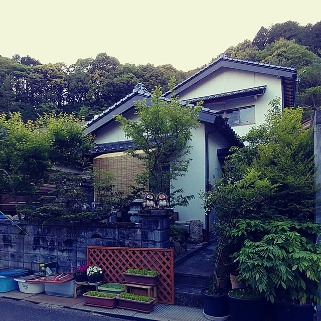 nontenrunさんの実例写真