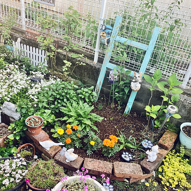 CoCo0617さんの実例写真