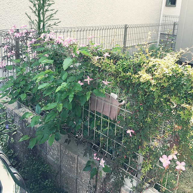 rarachanさんの実例写真