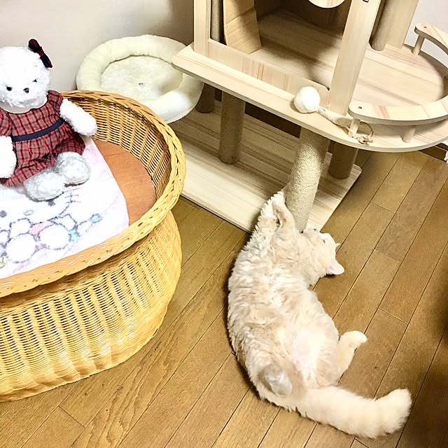 naokoさんの実例写真